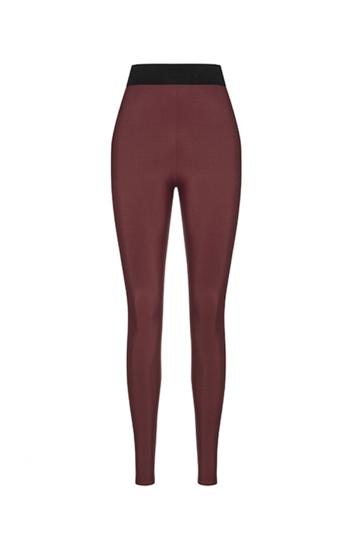 Jane Shapewear Leggings